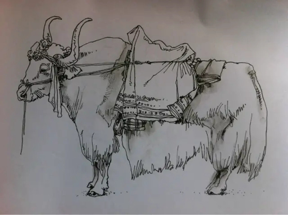 如果你正在学习线描速写，广州艺考画室觉得这52幅作品正合适你,41