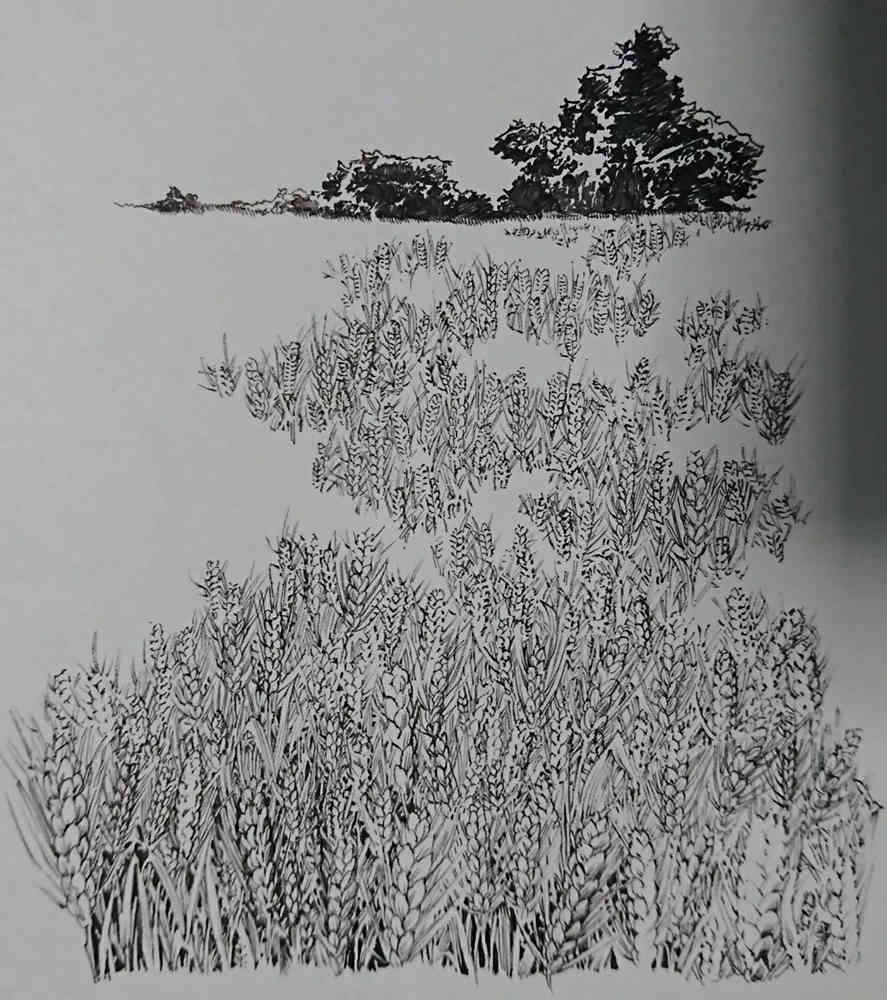 广州画室排名前十画室整理超简单绘画技巧，作者是认真的么,51