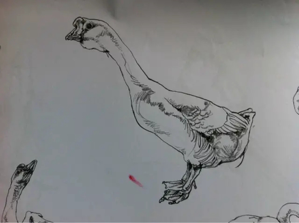 如果你正在学习线描速写，广州艺考画室觉得这52幅作品正合适你,20