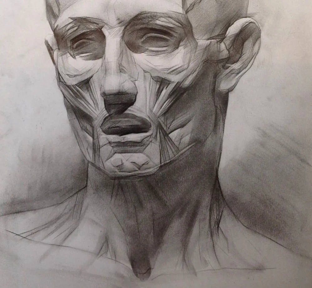 广州画室排名前十画室带你看看真正的素描高手，造诣一流,41