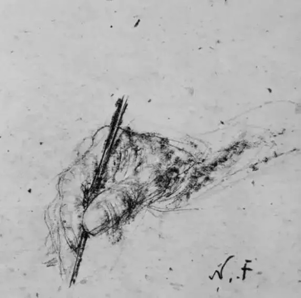 广州美术培训画室,广州美术培训,广州艺考画室,61