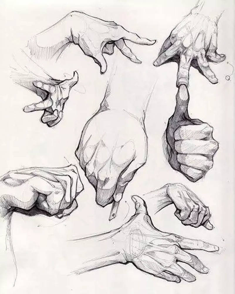 广州画室,广州素描美术培训画室,广州素描画室,23