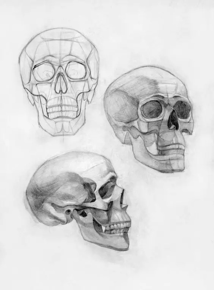 广州画室排名前十画室给你一组适合零基础临摹的素描教程,49