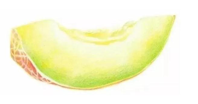 广州艺考画室,广州色彩美术培训画室,广州色彩画室培训,14