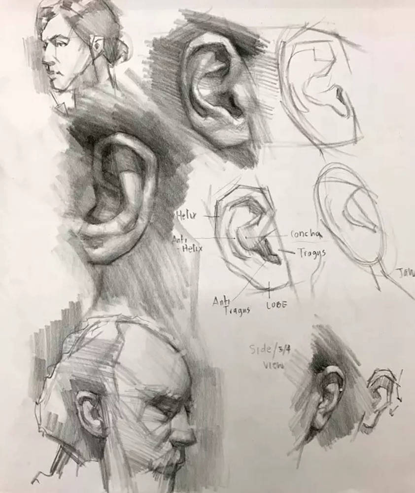广州画室,广州素描培训,广州素描画室,01