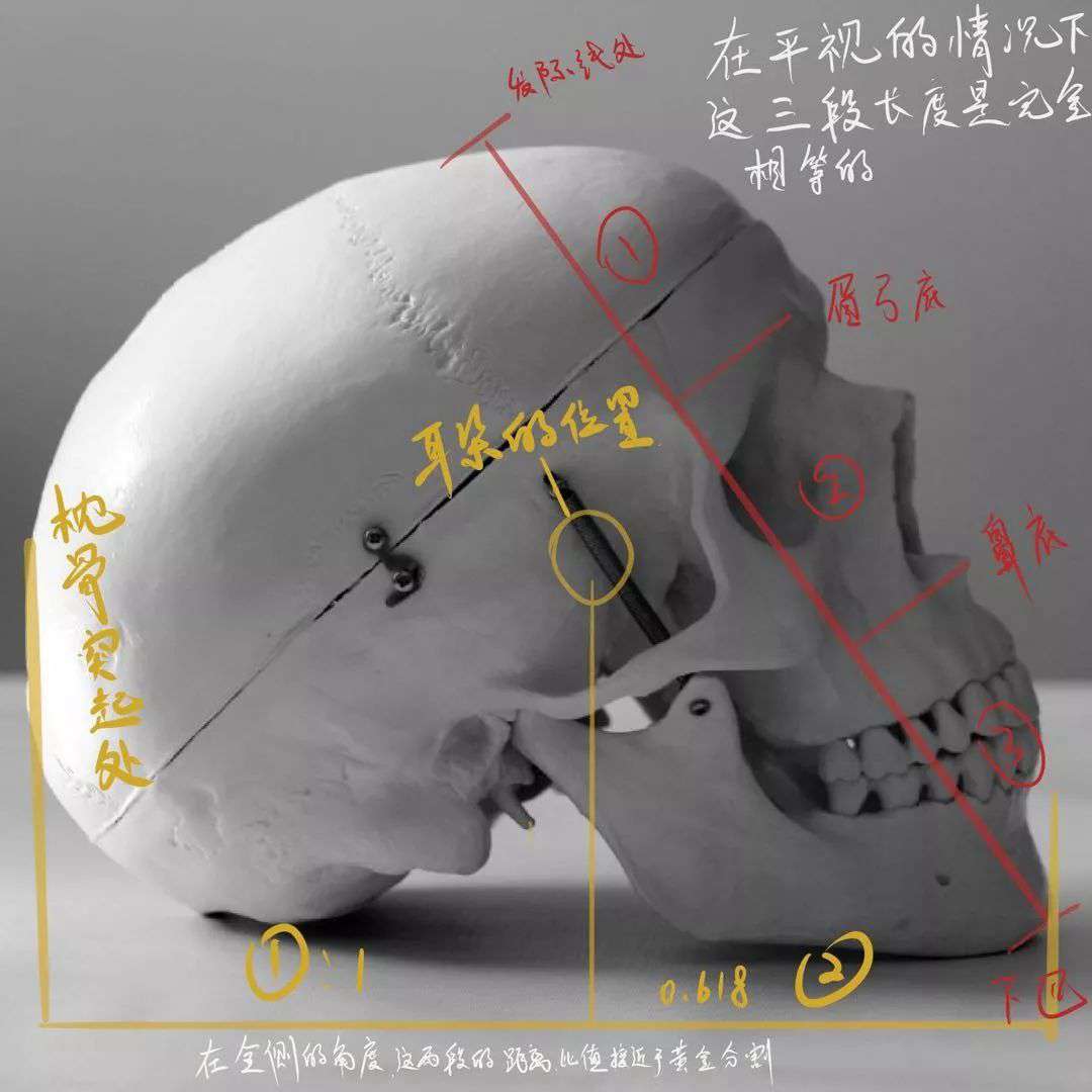 想要拿下校考素描头像高分吗？广州十大画室教你技巧,06