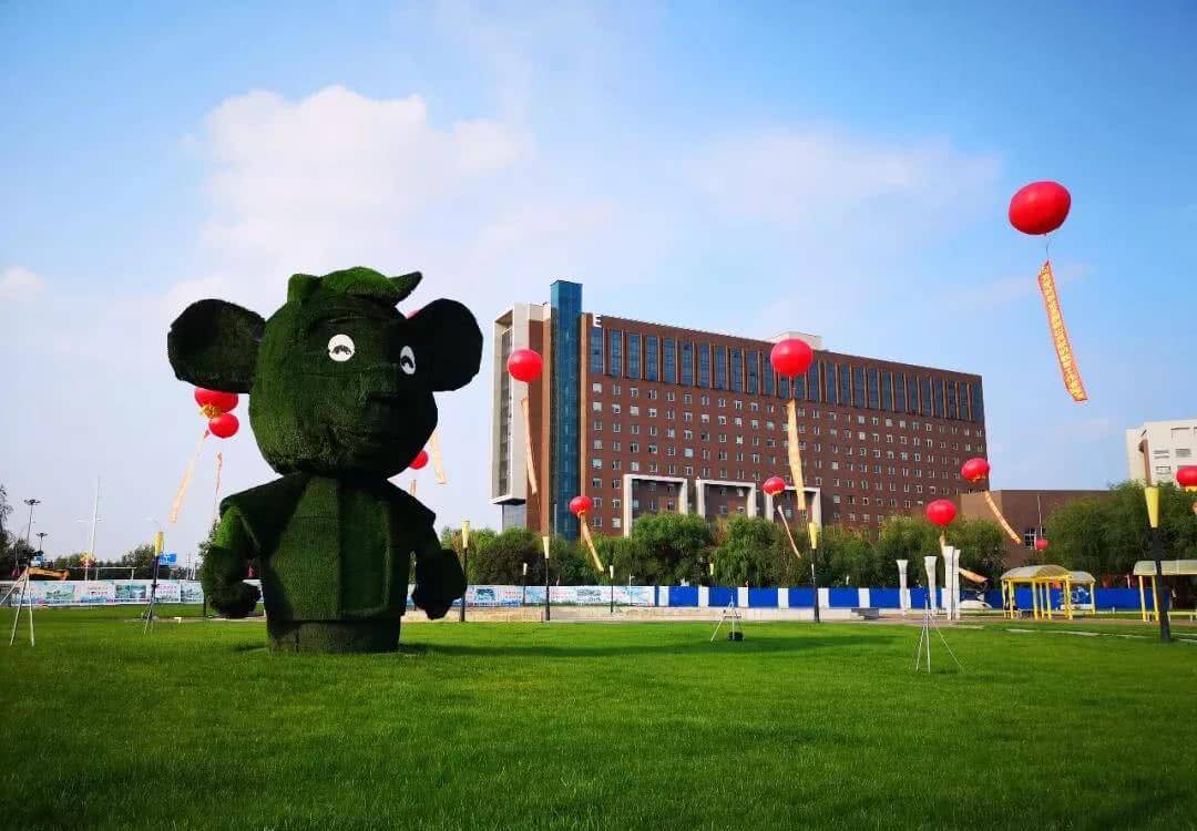 2021报考招生季，这六类高校可能会爆热，美术艺考生们得知道！图七