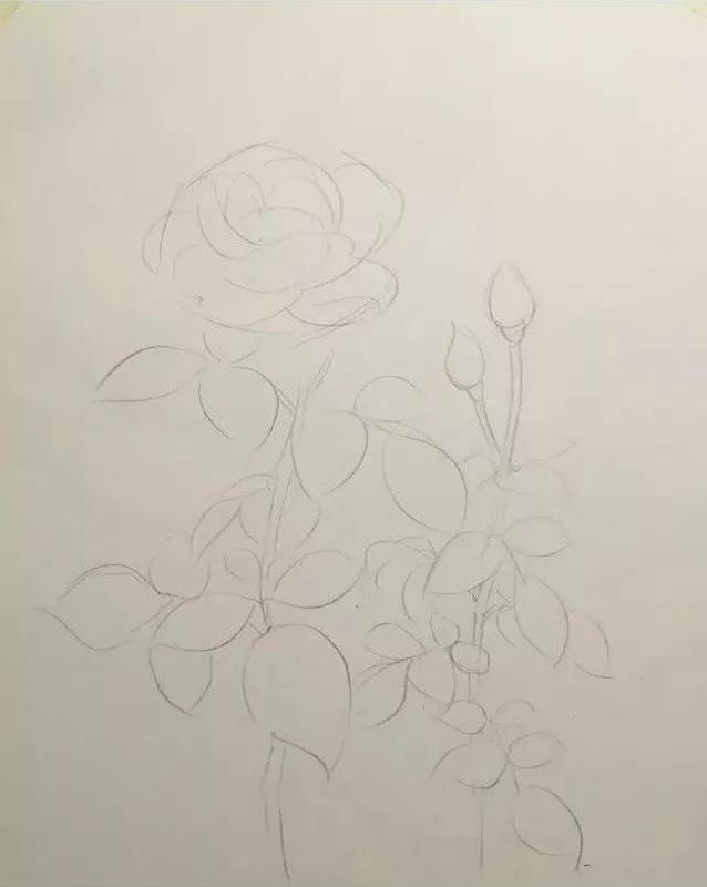 广州美术培训画室,广州美术培训班,广州绘画培训,05