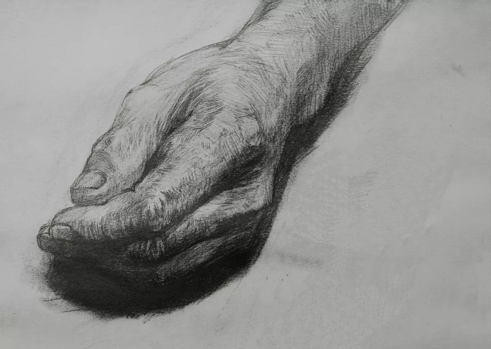 广州美术培训画室,广州美术培训,广州艺考画室,50