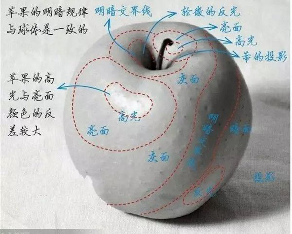 人物素描，广州艺考画室告诉你首先要掌握这些的东西,16