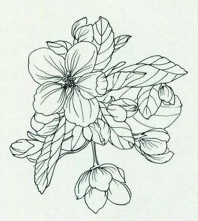 广州美术培训画室,广州美术培训班,广州绘画培训,02