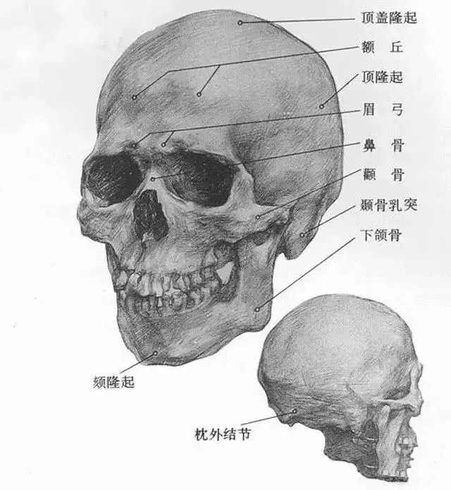  广州画室排名前三画室教你如何让你的素描头发看起来不死板粗糙有质感,02