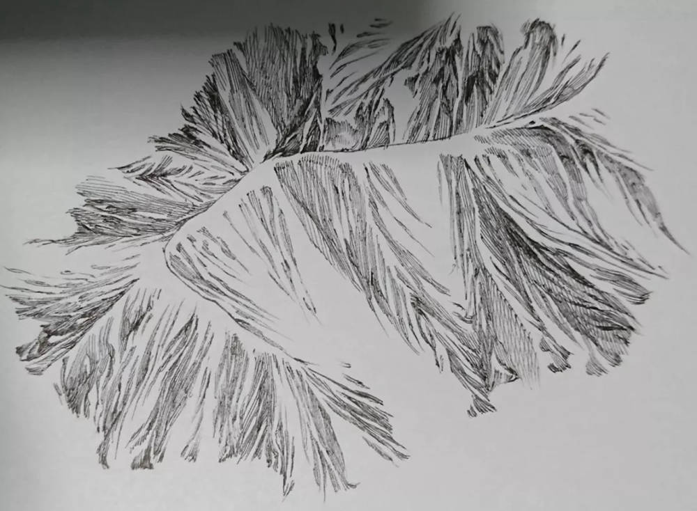 广州画室排名前十画室整理超简单绘画技巧，作者是认真的么,55