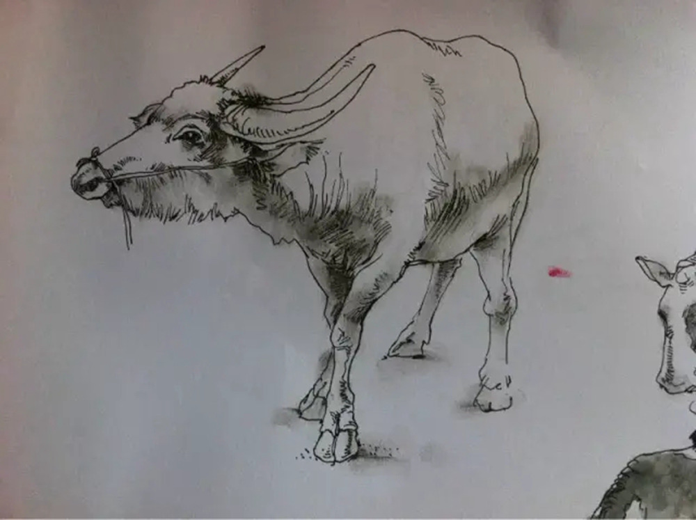 如果你正在学习线描速写，广州艺考画室觉得这52幅作品正合适你,19