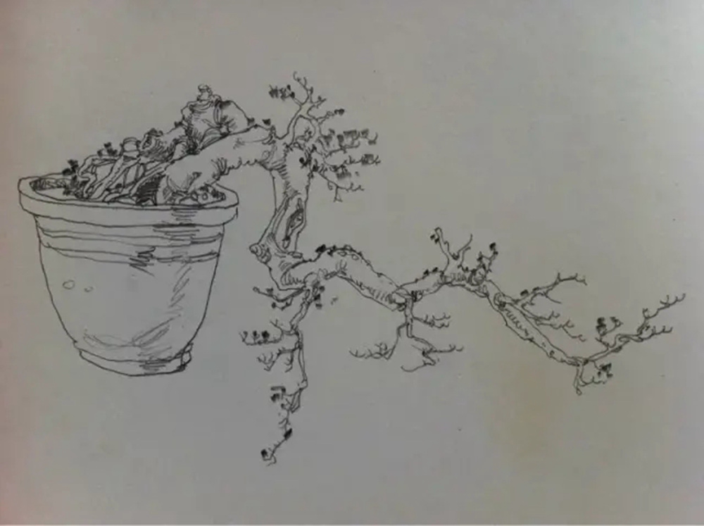 如果你正在学习线描速写，广州艺考画室觉得这52幅作品正合适你,49