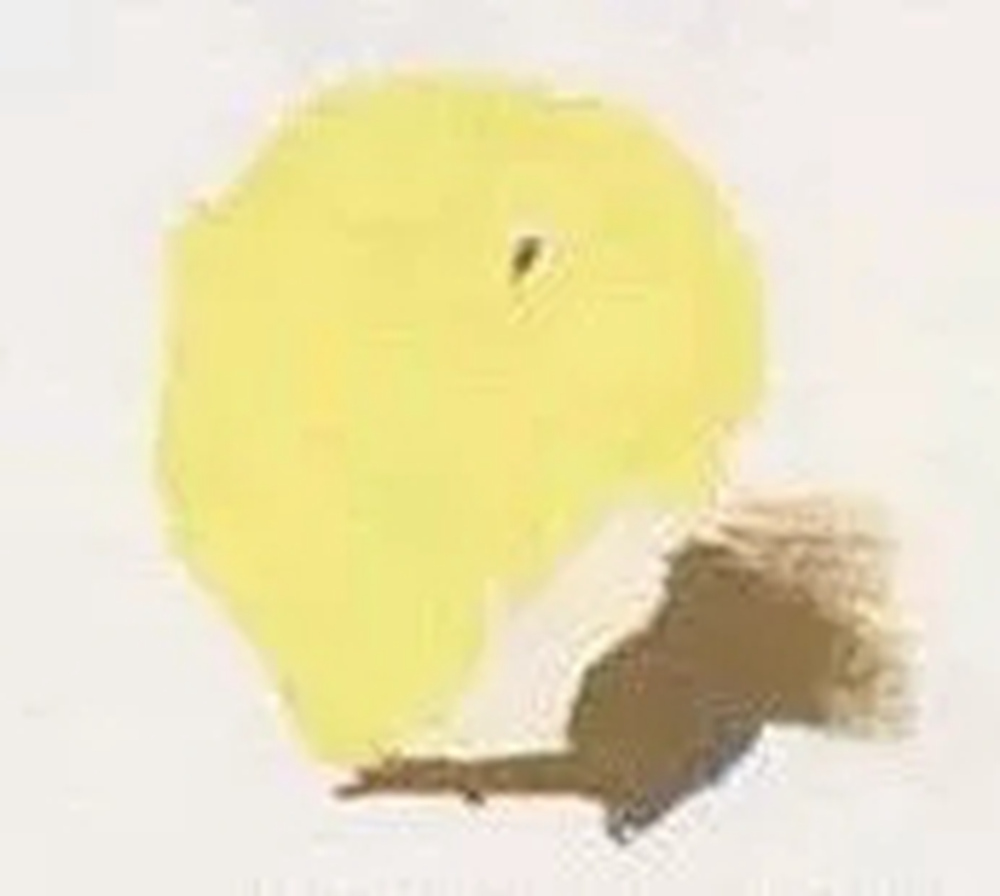 全网最全面的 “苹果” 色彩静物广州艺考画室教程！,10