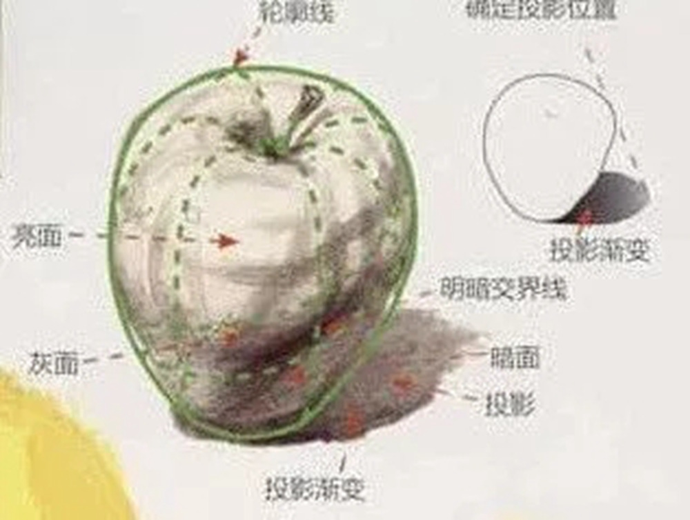 全网最全面的 “苹果” 色彩静物广州艺考画室教程！,08