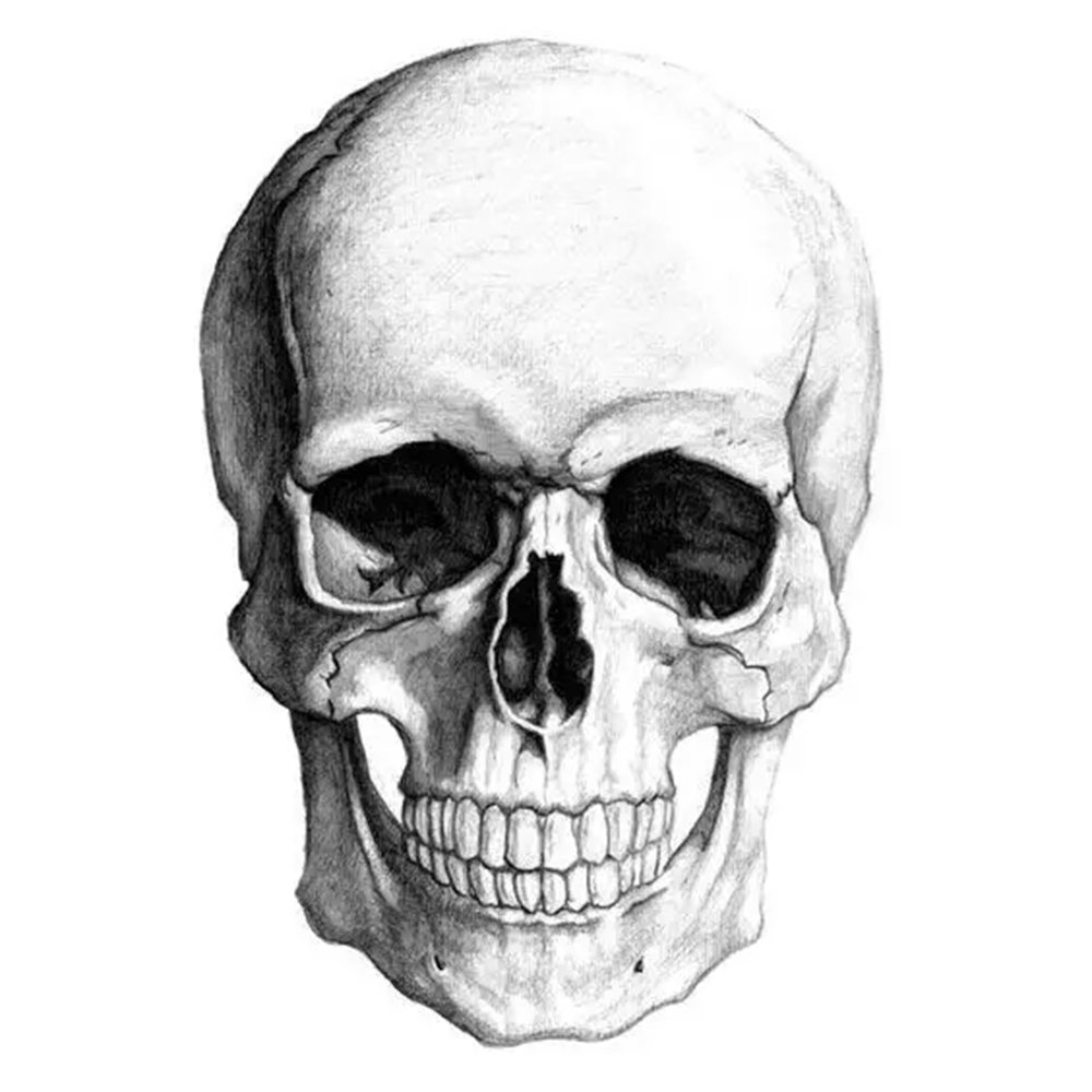 广州画室排名前十画室给你一组适合零基础临摹的素描教程,46
