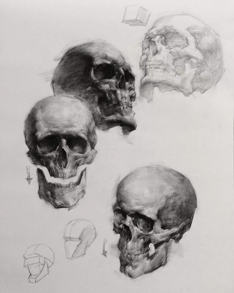 绝妙的炭笔素描，广州画室排名前三画室都炭为观止,52