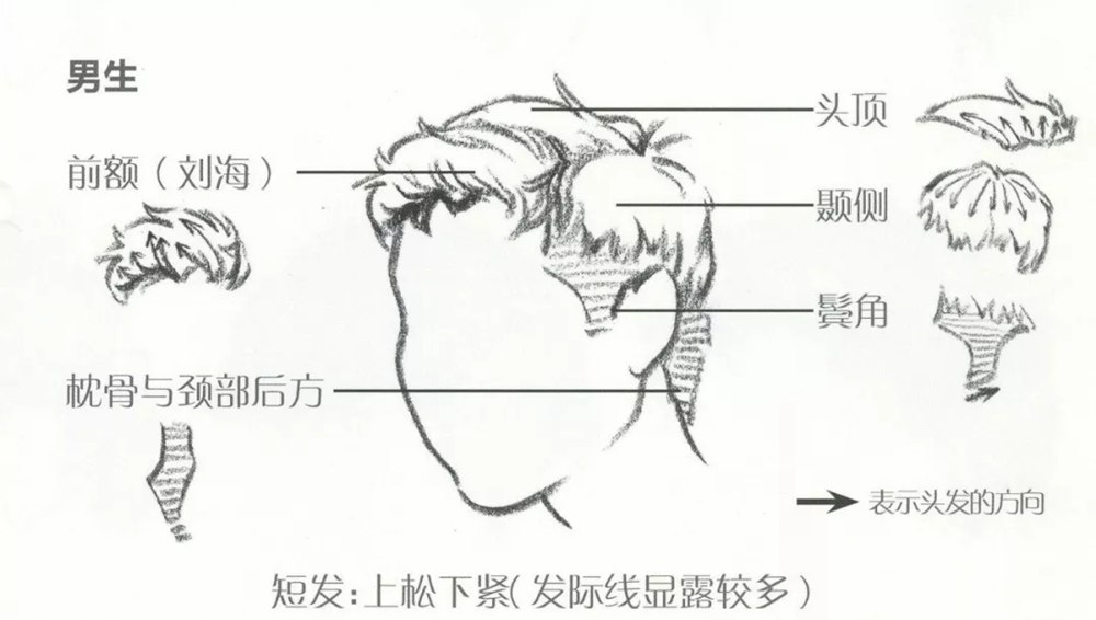 广州画室小围给大家推荐速写超强干货丨头发五大刻画要点,10