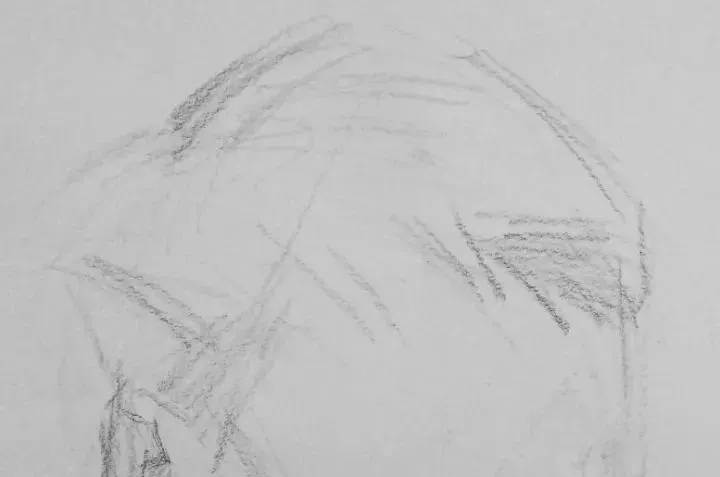  广州画室排名前三画室教你如何让你的素描头发看起来不死板粗糙有质感,42
