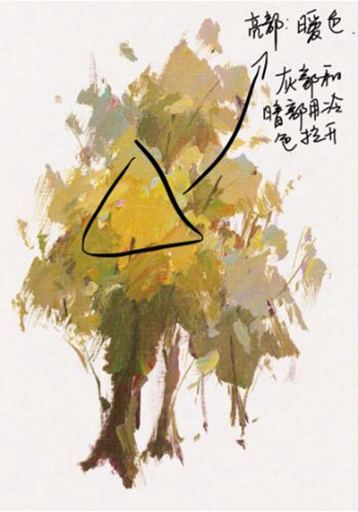 广州画室.广州色彩培训画室,广州色彩画室,34