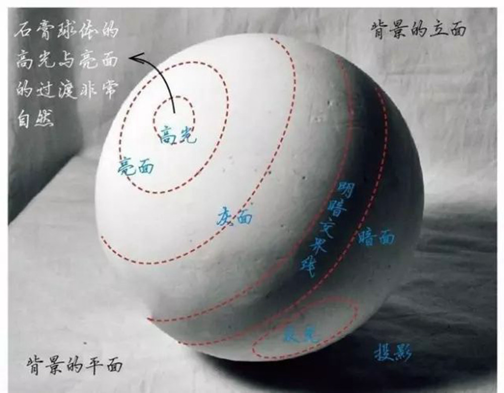 人物素描，广州艺考画室告诉你首先要掌握这些的东西,15