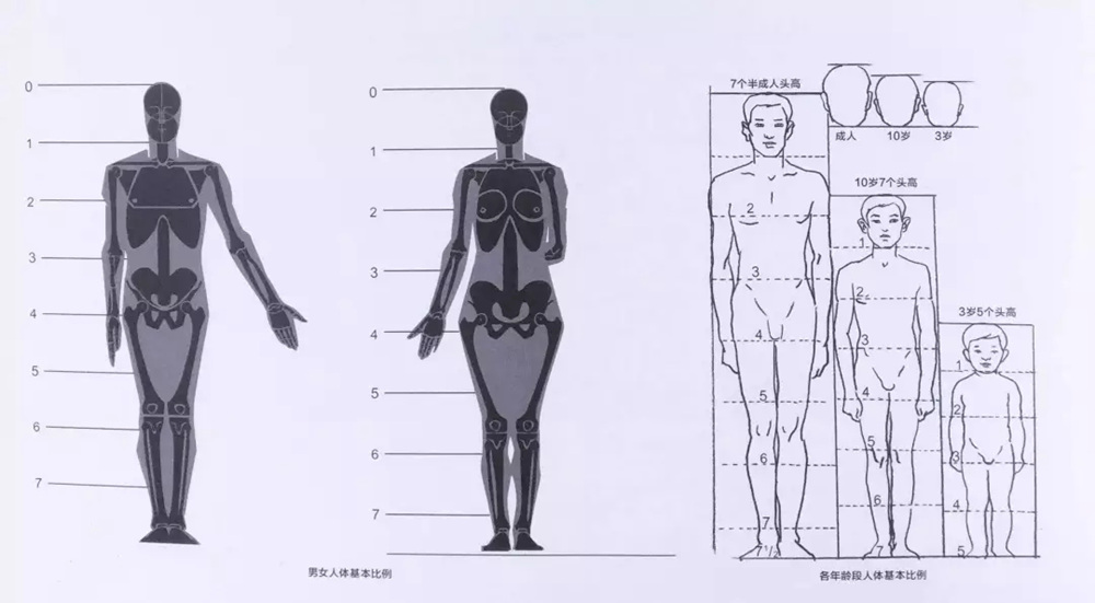 广州画室速写知识,广州速写美术培训,广州速写培训技巧,03