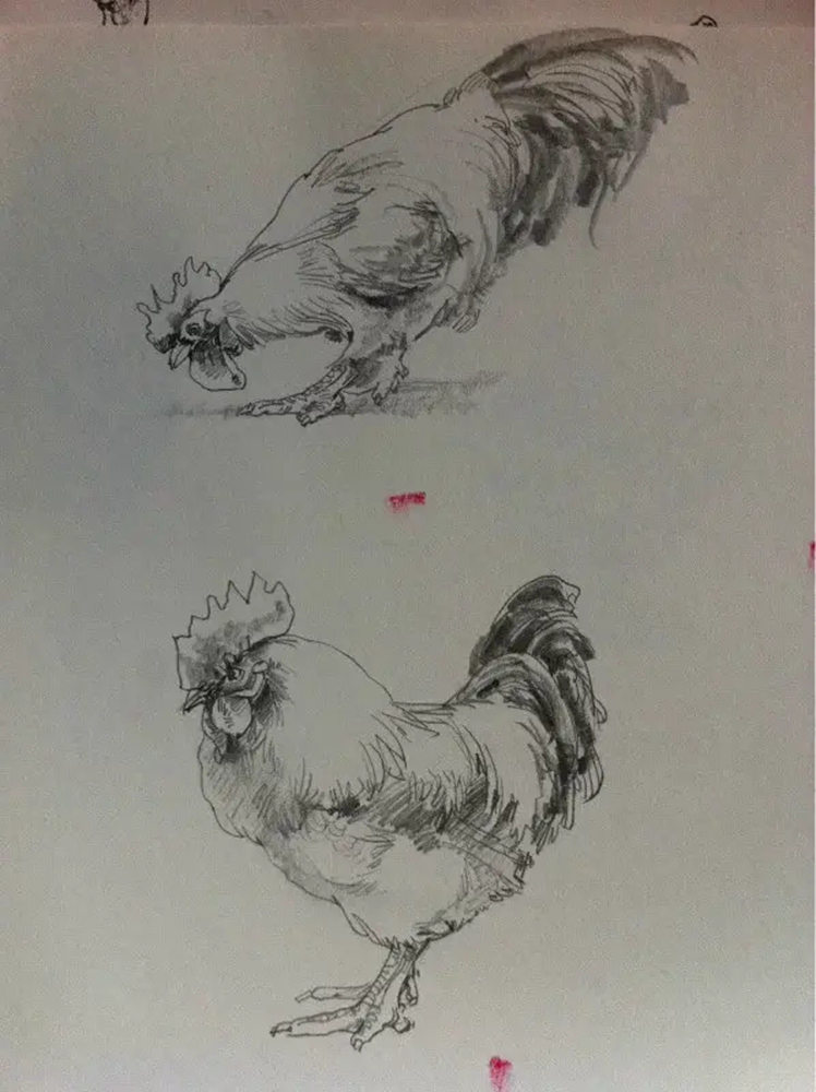 如果你正在学习线描速写，广州艺考画室觉得这52幅作品正合适你,31