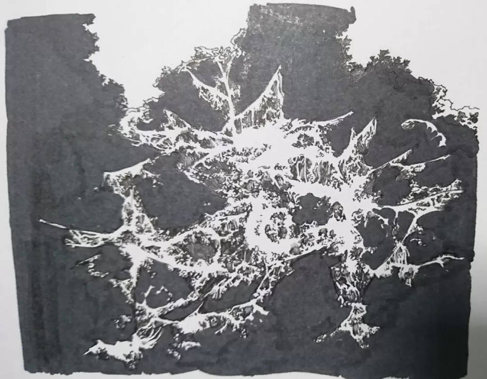 广州画室排名前十画室整理超简单绘画技巧，作者是认真的么,21
