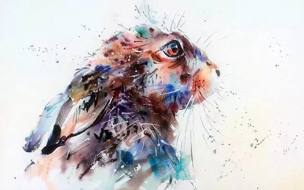 这样的动物水彩画广州排名前十画室觉得不能忍住笑,07
