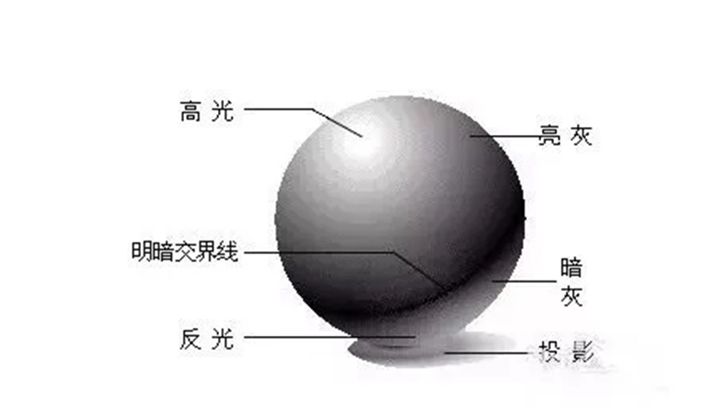 广州画室排名前三画室教你素描初学入门怎样画明暗交界线,04