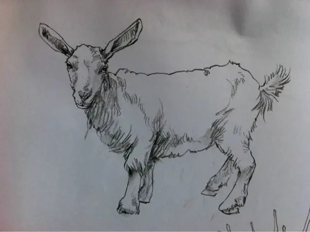 如果你正在学习线描速写，广州艺考画室觉得这52幅作品正合适你,22
