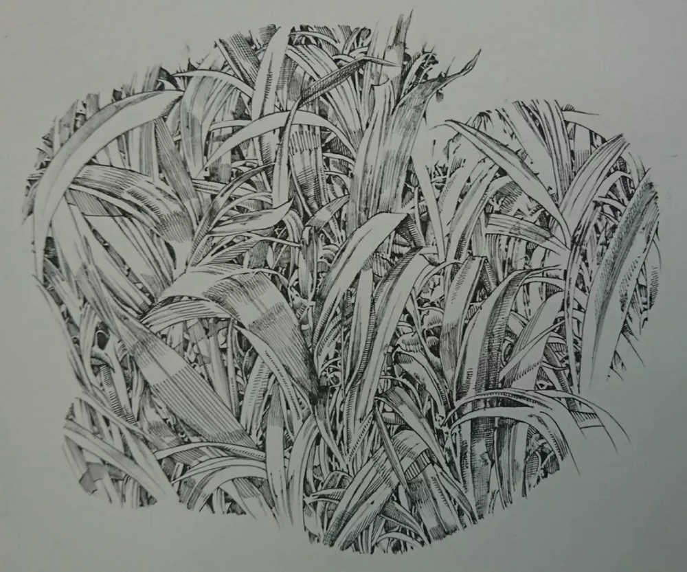 广州画室排名前十画室整理超简单绘画技巧，作者是认真的么,08