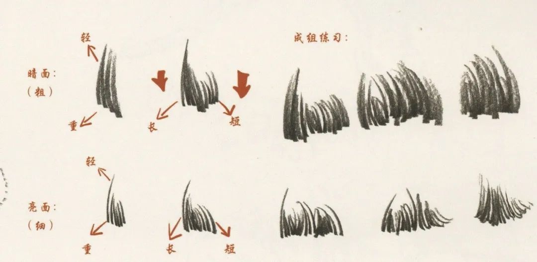 广州画室排名前五画室干货丨速写头发如何画，这份步骤大概最完整,02