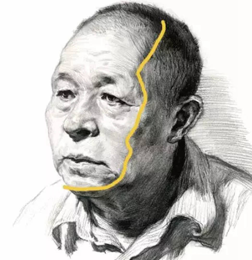 广州画室排名前三画室教你素描初学入门怎样画明暗交界线,11