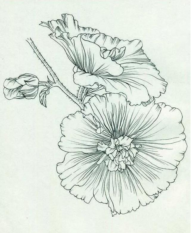 广州美术培训画室,广州美术培训班,广州绘画培训,03