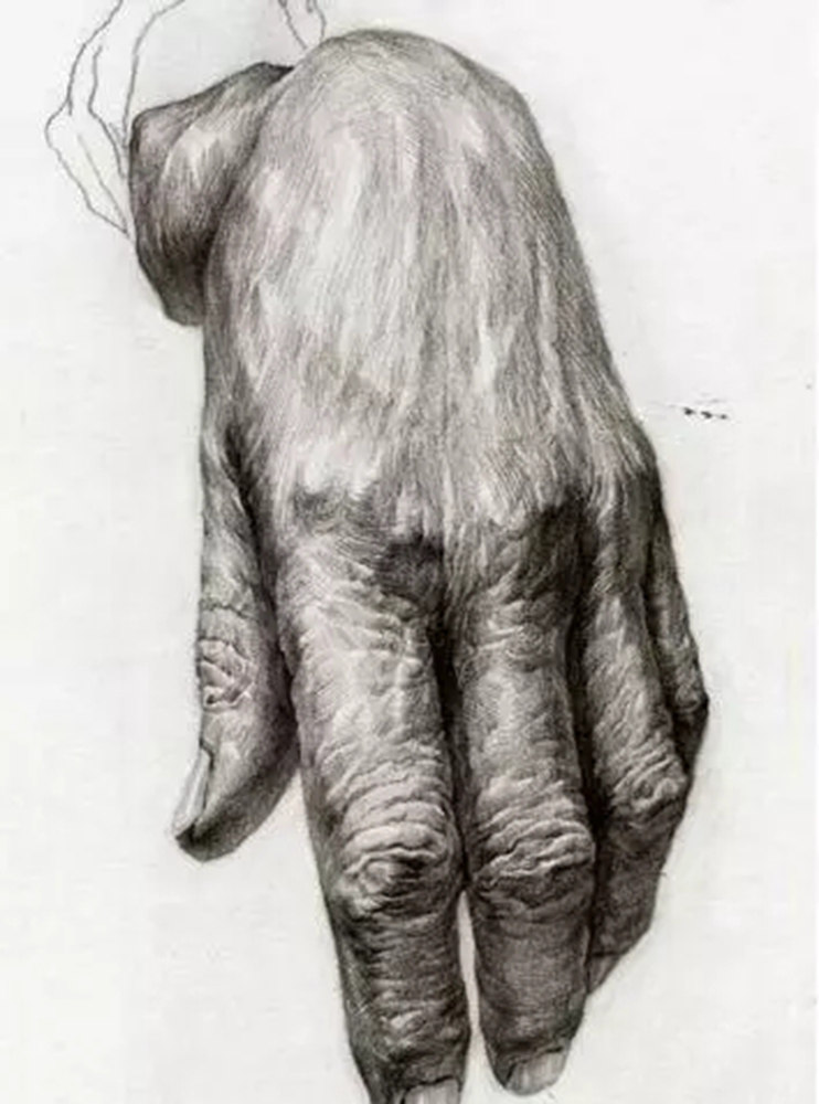 广州美术培训画室,广州美术培训,广州艺考画室,26