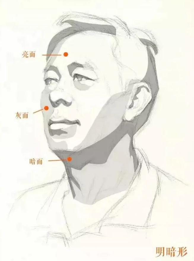 广州排名前十画室给你整理的干货|教你画一张高分素描头像,05