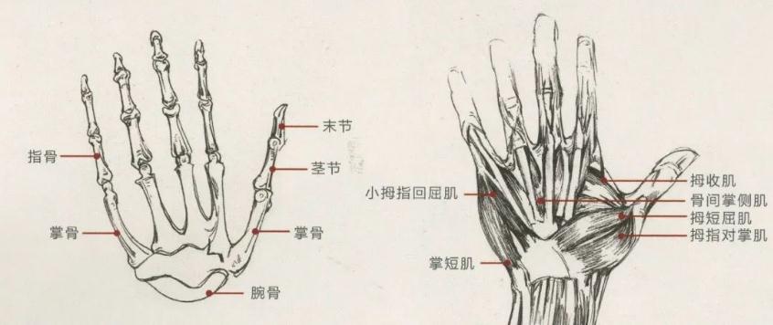 广州画室前五排名画室超强干货丨速写的得分点，你知道不,01