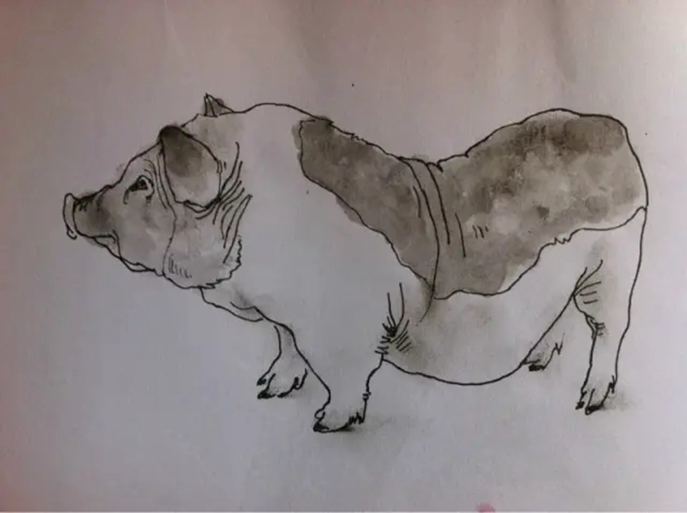 如果你正在学习线描速写，广州艺考画室觉得这52幅作品正合适你,25