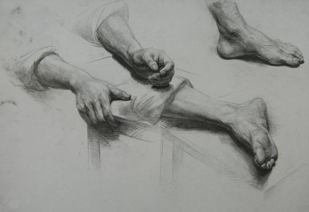 广州美术培训画室,广州美术培训,广州艺考画室,31