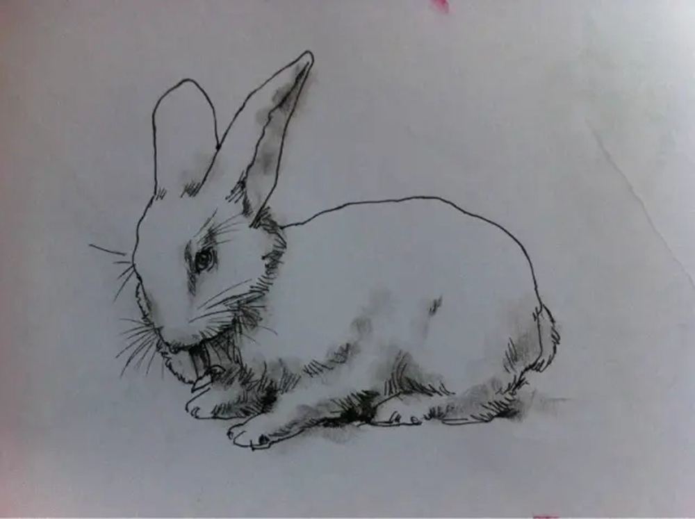 如果你正在学习线描速写，广州艺考画室觉得这52幅作品正合适你,38