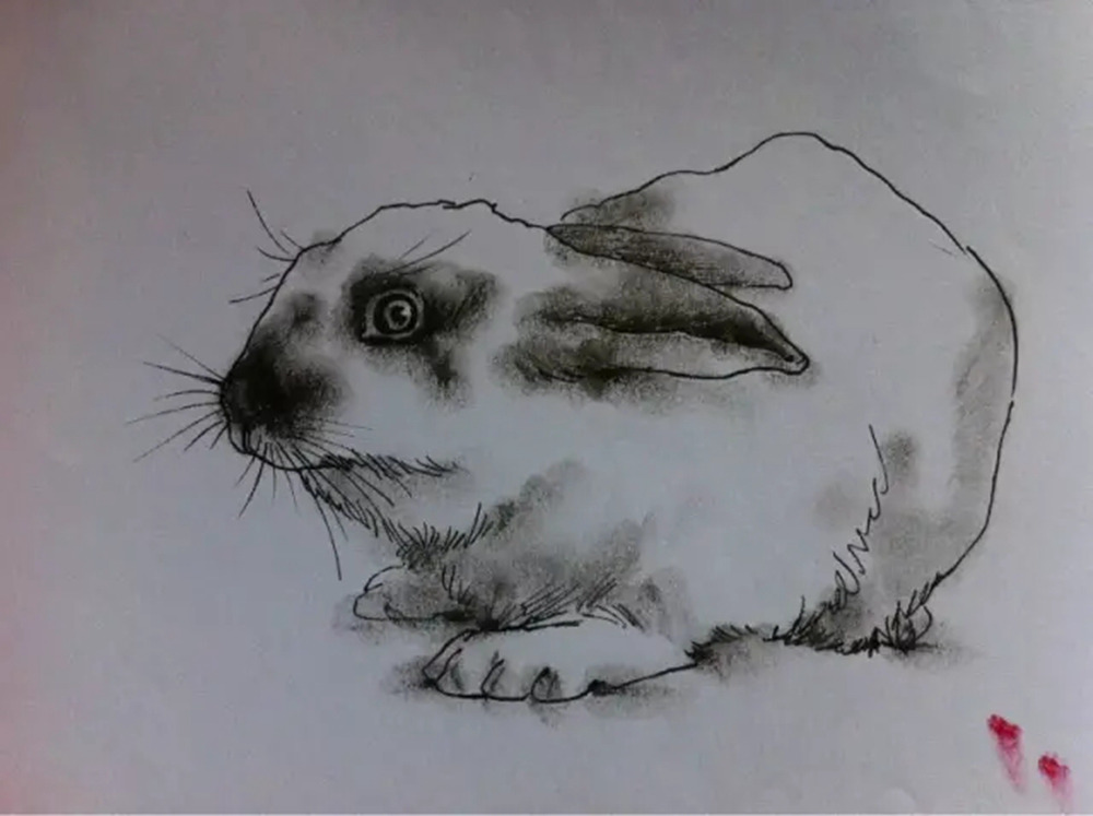 如果你正在学习线描速写，广州艺考画室觉得这52幅作品正合适你,37