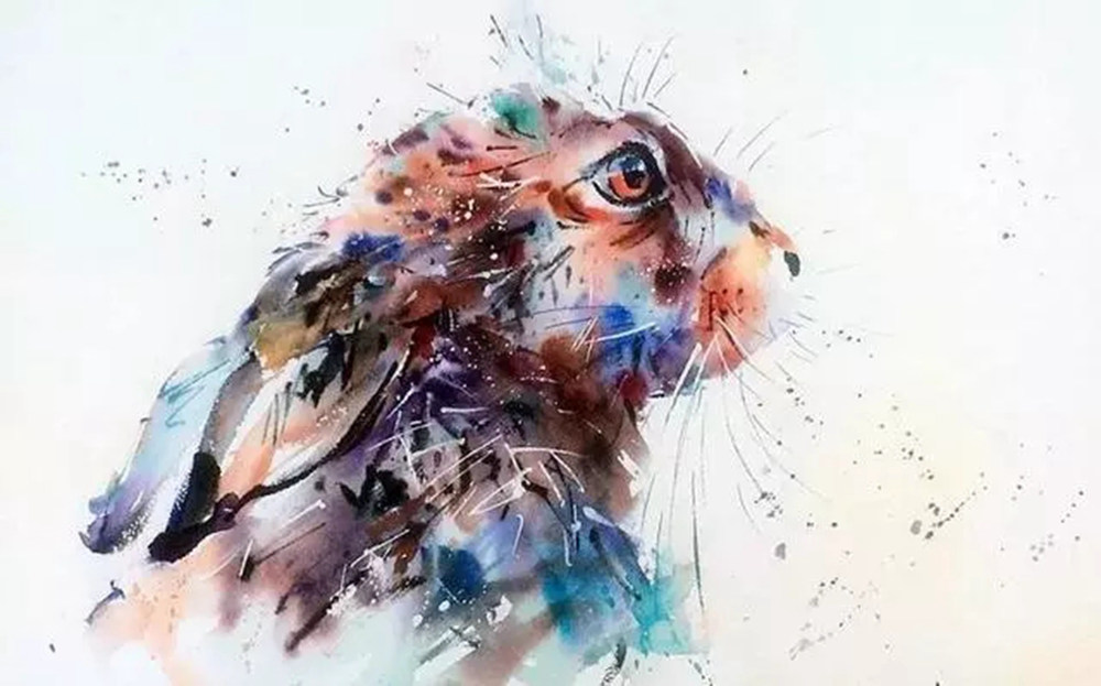 这样的动物水彩画广州排名前十画室觉得不能忍住笑,03
