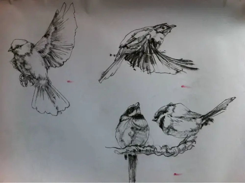 如果你正在学习线描速写，广州艺考画室觉得这52幅作品正合适你,42