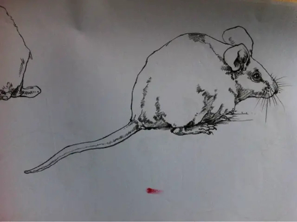 如果你正在学习线描速写，广州艺考画室觉得这52幅作品正合适你,24
