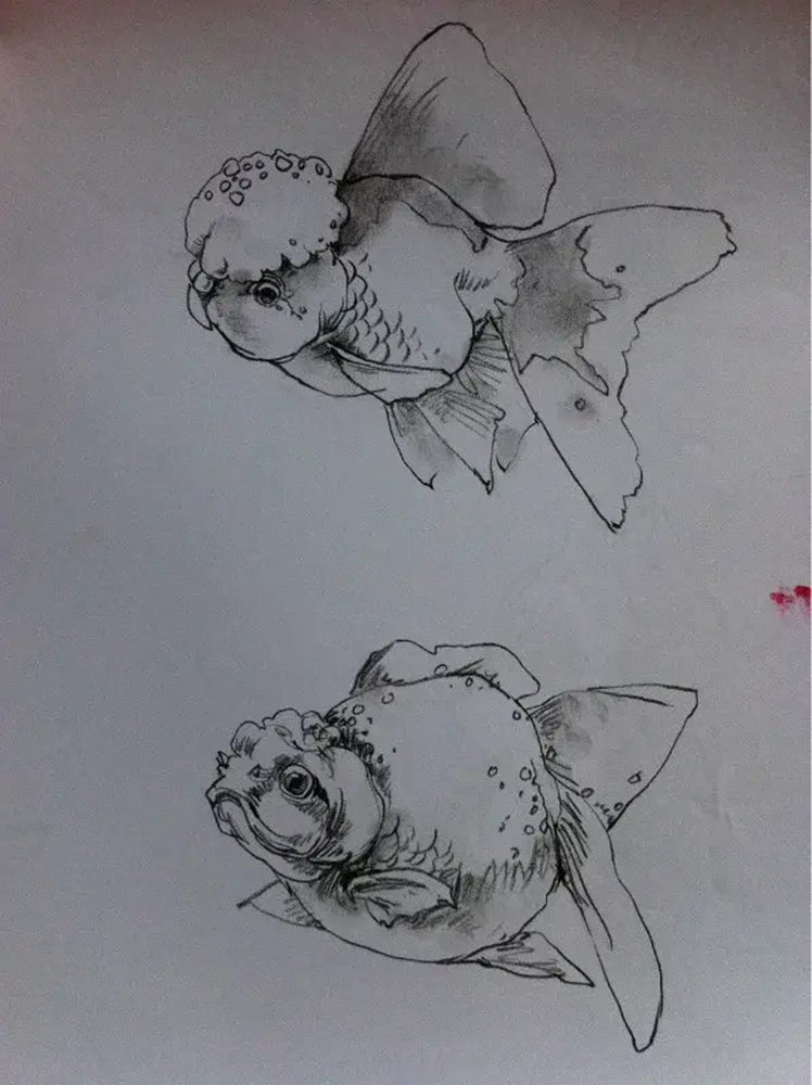 如果你正在学习线描速写，广州艺考画室觉得这52幅作品正合适你,36