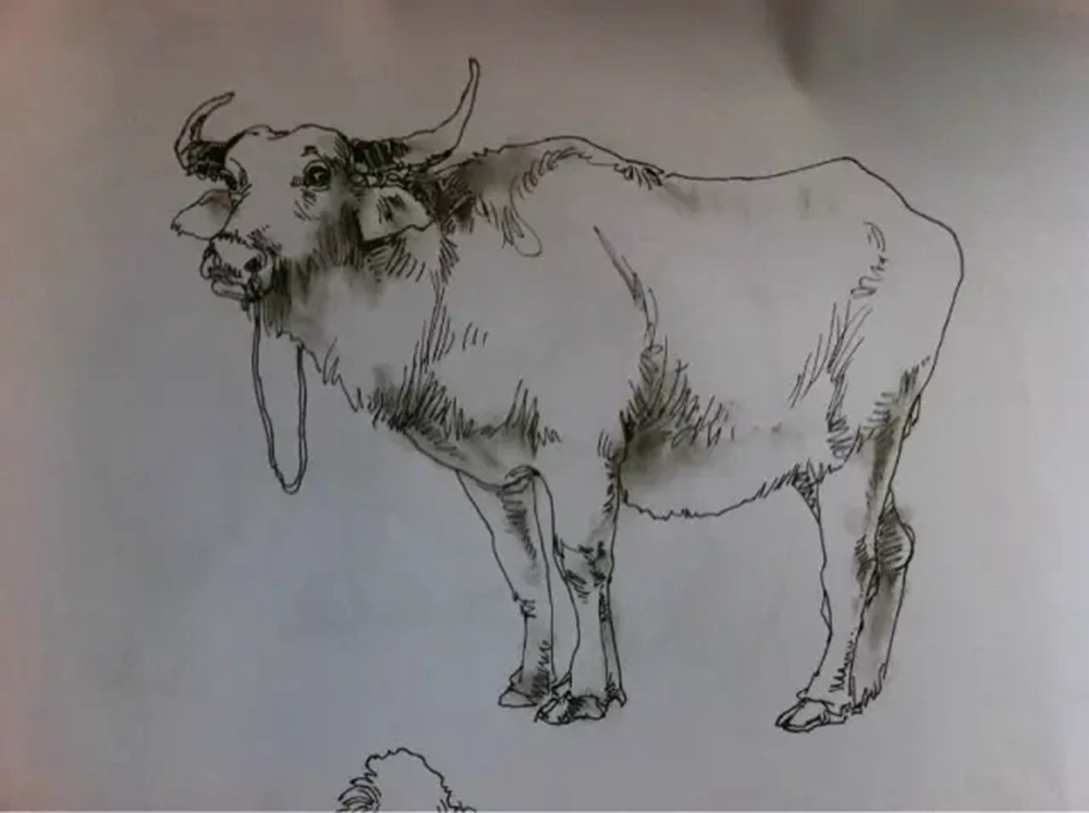 如果你正在学习线描速写，广州艺考画室觉得这52幅作品正合适你,40