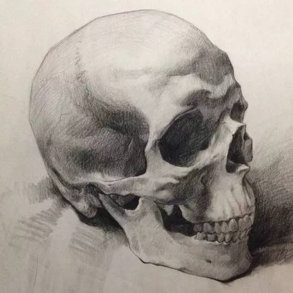 广州画室,广州素描美术培训画室,广州素描画室,14
